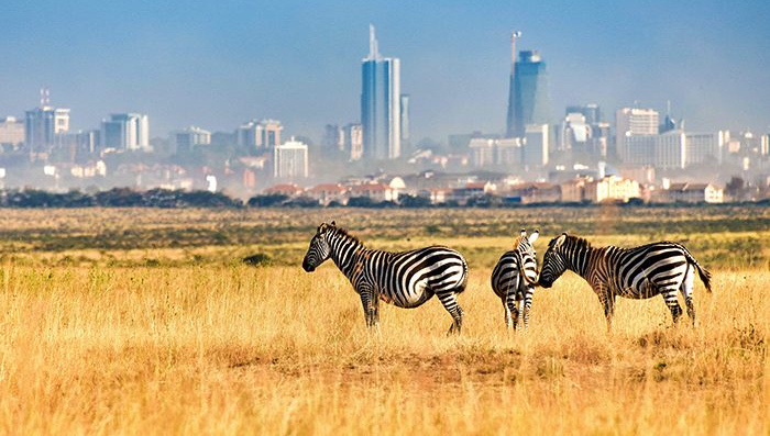 Kenya. This Is The Heartbeat of African Safaris.